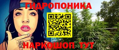 кокс Донской