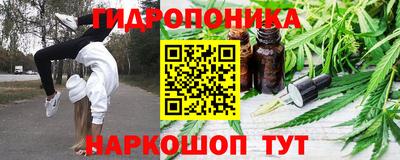 кокс Донской