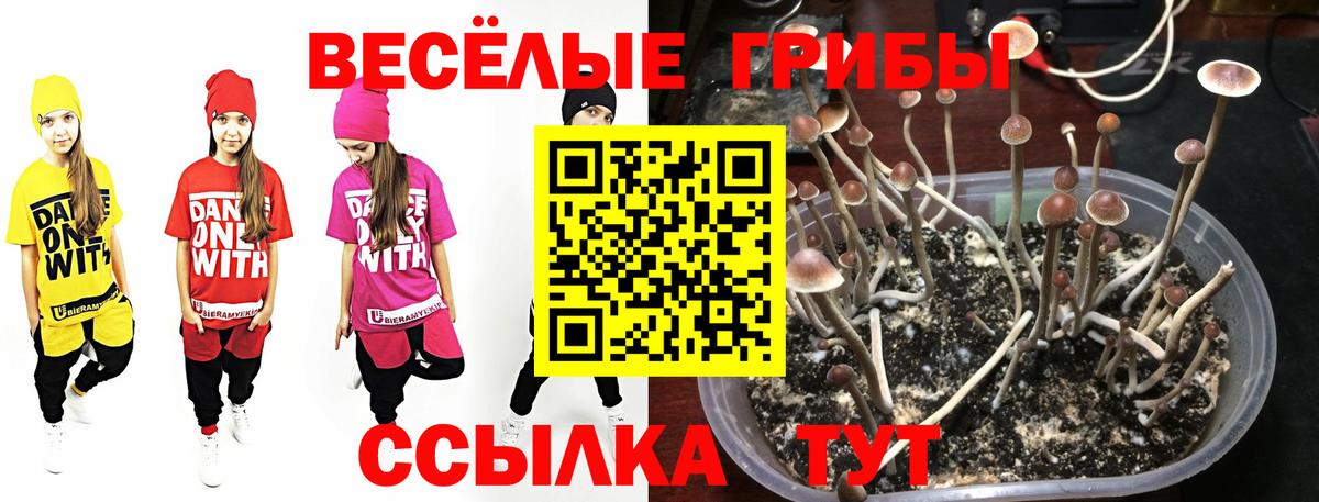 Галлюциногенные грибы GOLDEN TEACHER  наркошоп  Людиново  Псилоцибиновые грибы мицелий  Вход с VPN 